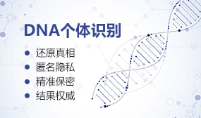 DNA个体识别
